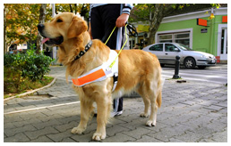  Accessible Text to Speech Support for Individuals with Low Vision or Blindness